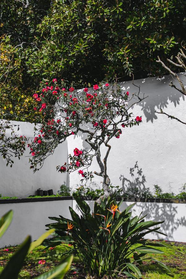 Quinta Dos Misterios- Turismo De Habitacao Apartamento Fajã de Santo Amaro Exterior foto